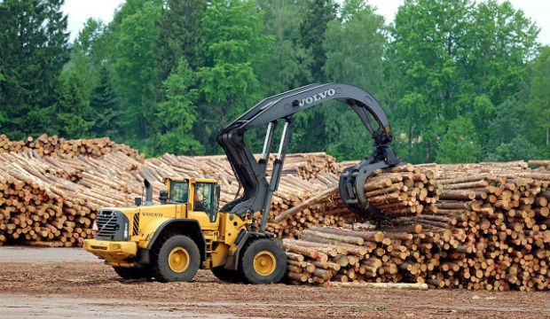 10 Paesi in cui la deforestazione è fuori controllo -