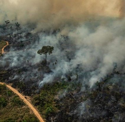 Rinnovabili • incendi in Amazzonia