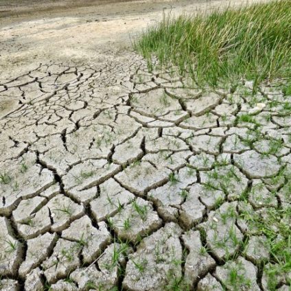 Rinnovabili • cambiamenti climatici suolo