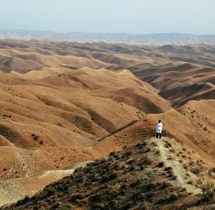 Rinnovabili • Iran