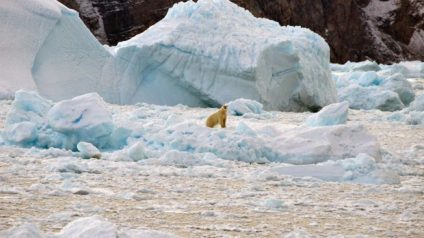 Rinnovabili • punti di non ritorno clima