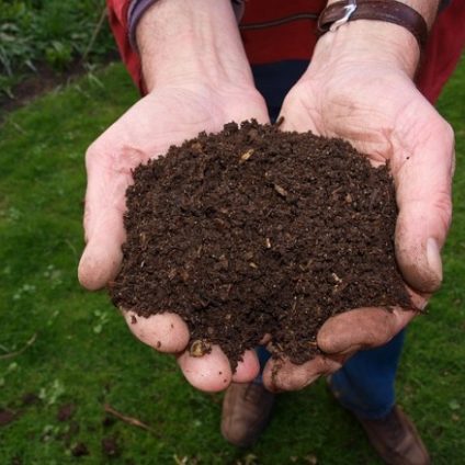 Rinnovabili • Biofertilizzante