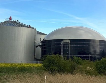 Rinnovabili • bilancio 2020 biogas