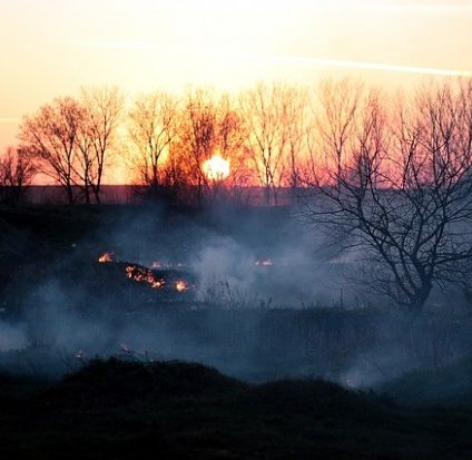 Rinnovabili • Incendi in Australia