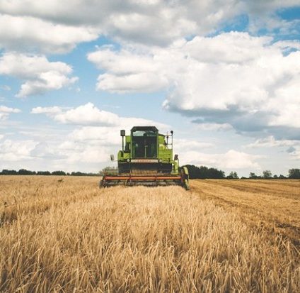 Rinnovabili • Produzione agricola