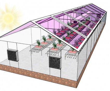 Rinnovabili • serre fotovoltaiche