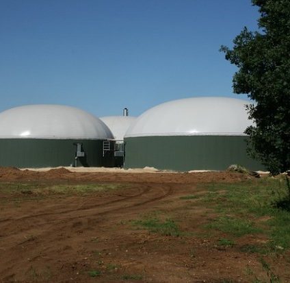 Rinnovabili • Biogas