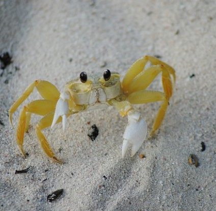 Rinnovabili • tutela degli oceani