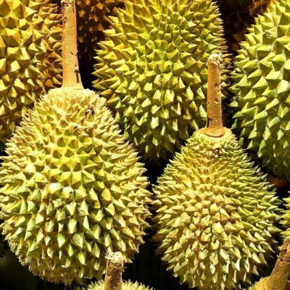 Rinnovabili • accumulo elettrico durian