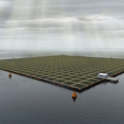 Rinnovabili • fotovoltaico offshore