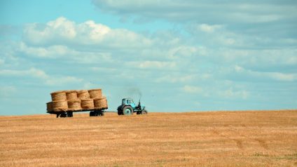 Rinnovabili • Settore agricolo