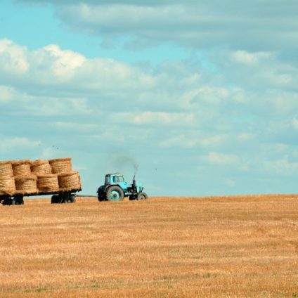 Rinnovabili • Settore agricolo