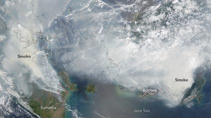 Rinnovabili • Incendi in Indonesia