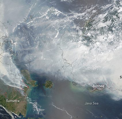 Rinnovabili • Incendi in Indonesia