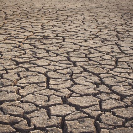 Rinnovabili • assenza di precipitazioni