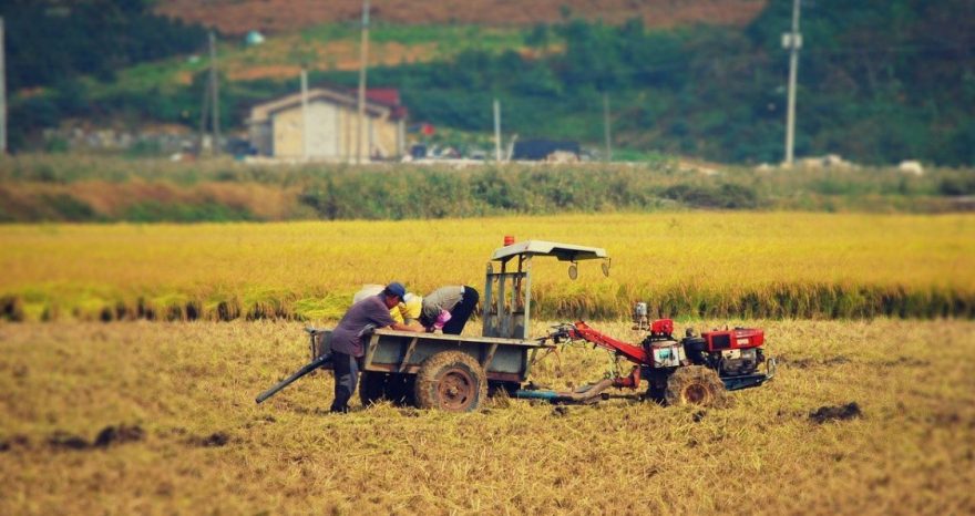 Rinnovabili • Lavoratori agricoli