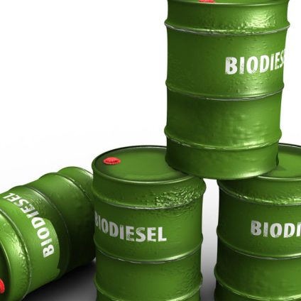 Rinnovabili • biodiesel argentino