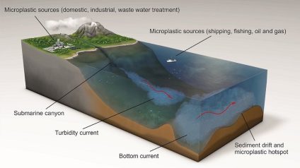 Rinnovabili • microplastiche