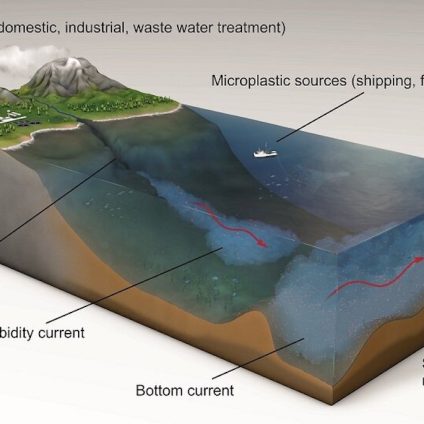 Rinnovabili • microplastiche