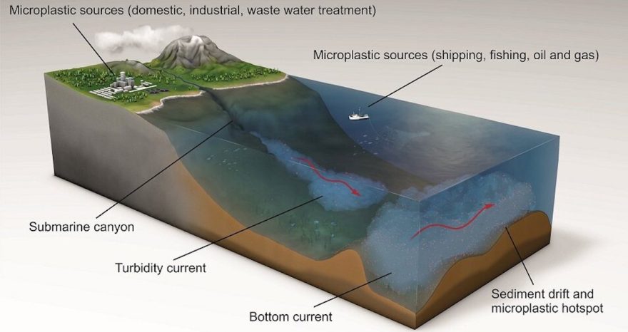 Rinnovabili • microplastiche