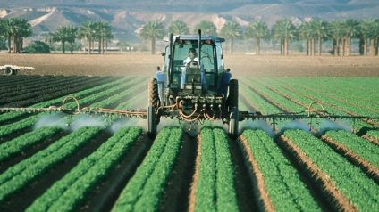 Rinnovabili • Settore agricolo