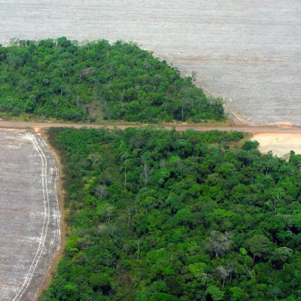 Rinnovabili • deforestazione selvaggia amazzonia