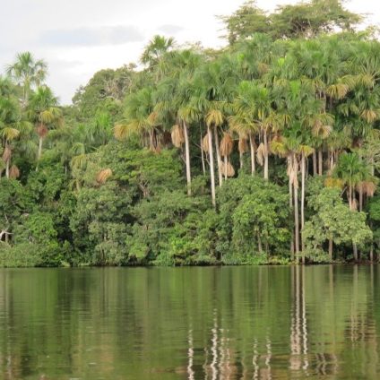 Rinnovabili • Amazzonia peruviana