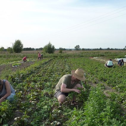 Rinnovabili • agricoltura sociale