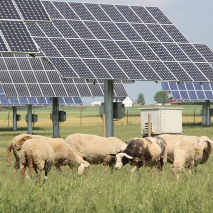 Rinnovabili • Fotovoltaico e agricoltura