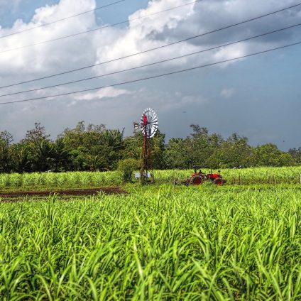 Rinnovabili • agricoltura circolare