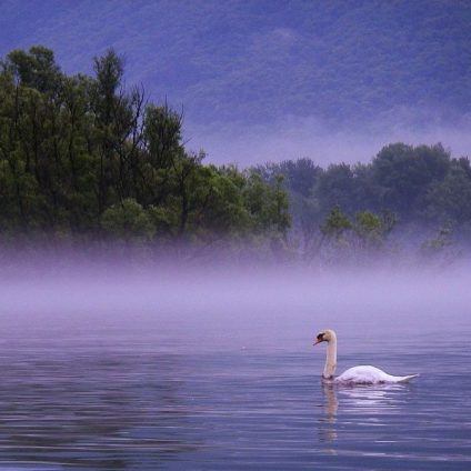 Rinnovabili • Sofferenza idrica