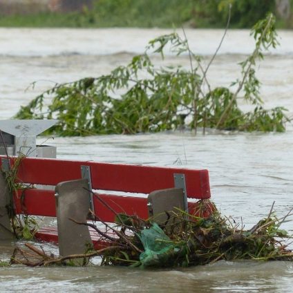 Rinnovabili • cambiamenti climatici