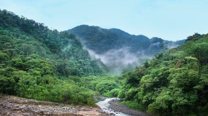 Rinnovabili • Amazzonia brasiliana