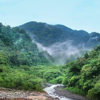 Rinnovabili • Amazzonia brasiliana