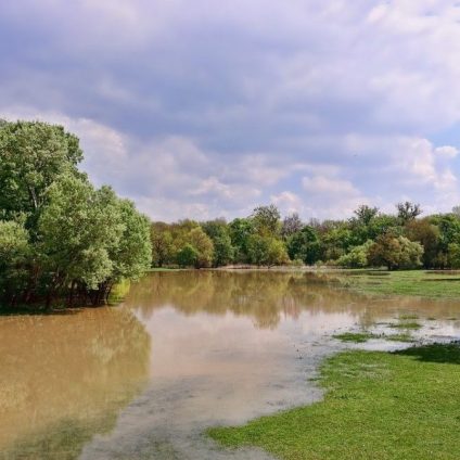 Rinnovabili • Stato di calamità naturale in Sudan