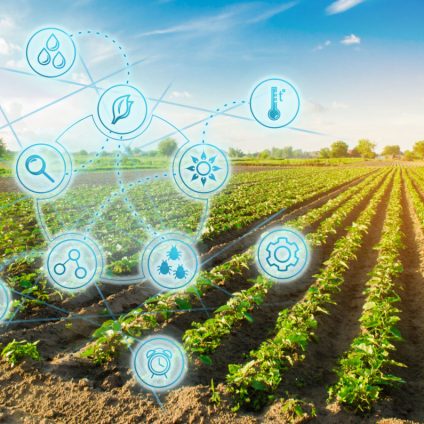 Rinnovabili • La tecnologia nell’agricoltura di domani, arriva Agridigit