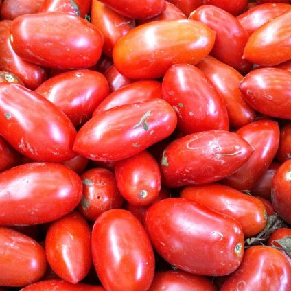 Rinnovabili • pomodoro di San Marzano