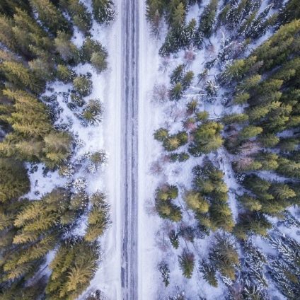 Rinnovabili • foresta di Tongass