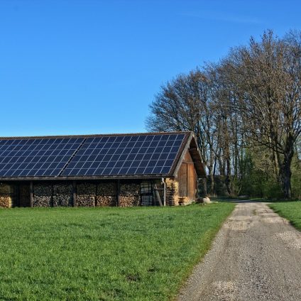 Rinnovabili • fotovoltaico in agricoltura