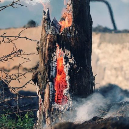 Rinnovabili • incendi boschivi in Europa