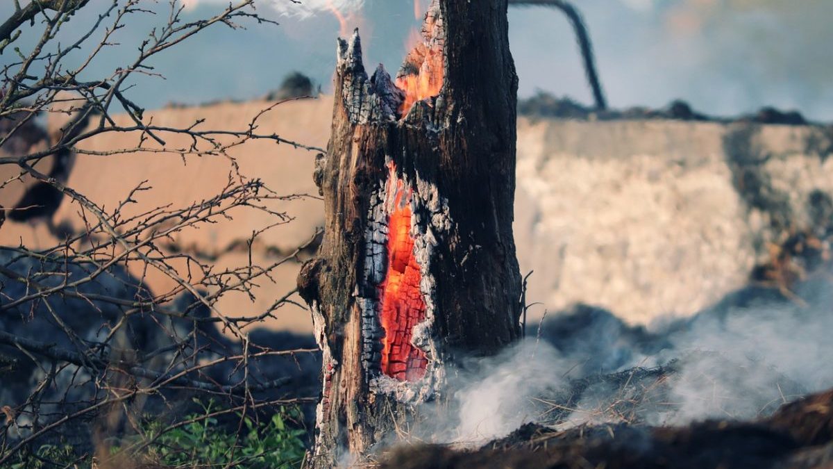 Rinnovabili • incendi boschivi in Europa