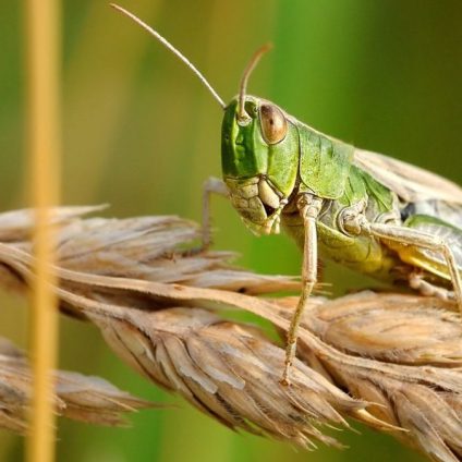 Rinnovabili • Eventi climatici estremi