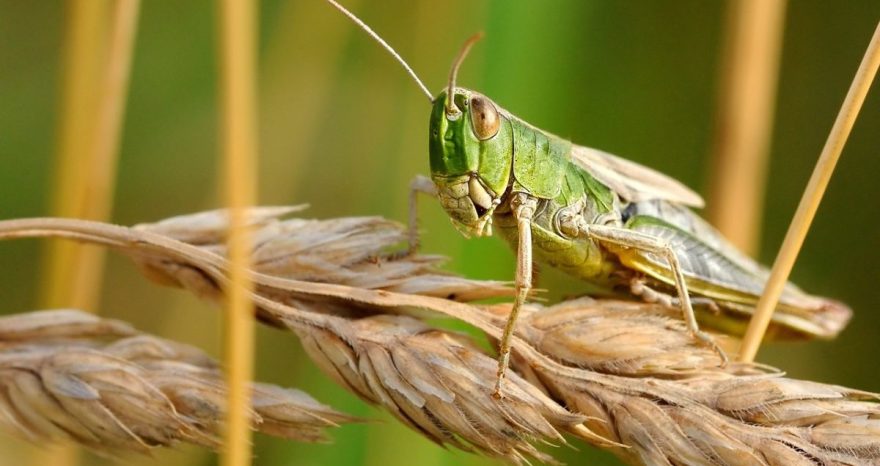 Rinnovabili • Eventi climatici estremi