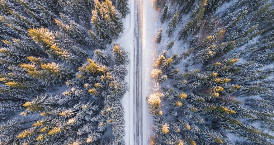 Rinnovabili • Foresta di Tongass