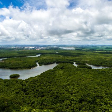 Rinnovabili • Deforestazione: Bolsonaro taglia i fondi 2021 per la protezione dell’ambiente