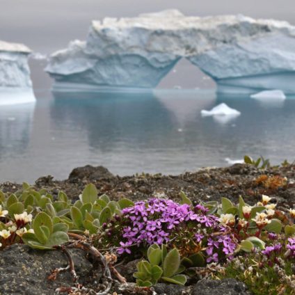 Rinnovabili • Riscaldamento globale: la ‘diga dell’Artico’ è instabile