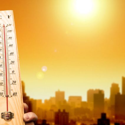 Rinnovabili • Riscaldamento globale: il 2020 è l’anno più caldo della storia