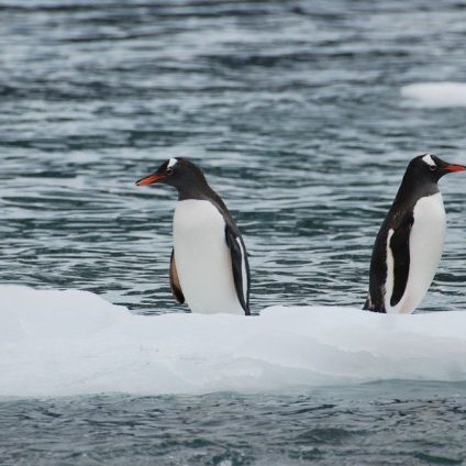 Rinnovabili • Neutralità climatica: ecco perché bisogna fare in fretta