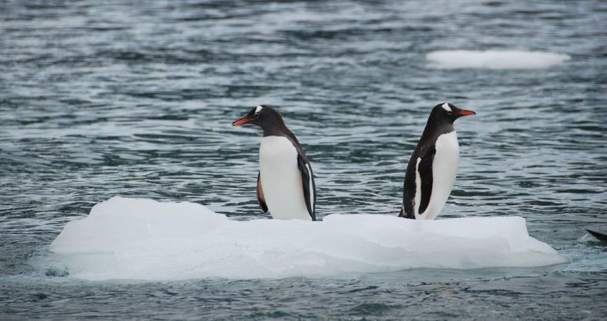 Rinnovabili • Neutralità climatica: ecco perché bisogna fare in fretta