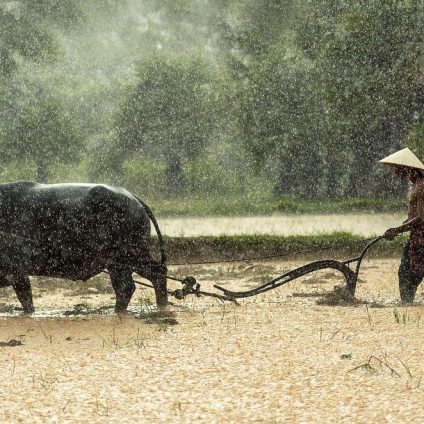 Rinnovabili • piccoli produttori agricoli